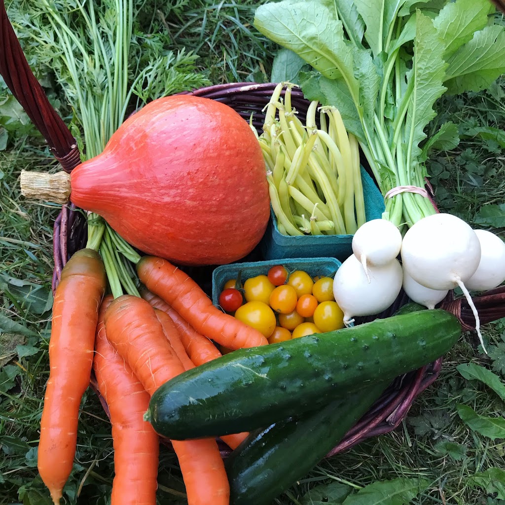Tendergreens Farm | 3553 Milman Rd, Courtenay, BC V9J 1N8, Canada | Phone: (250) 896-4981
