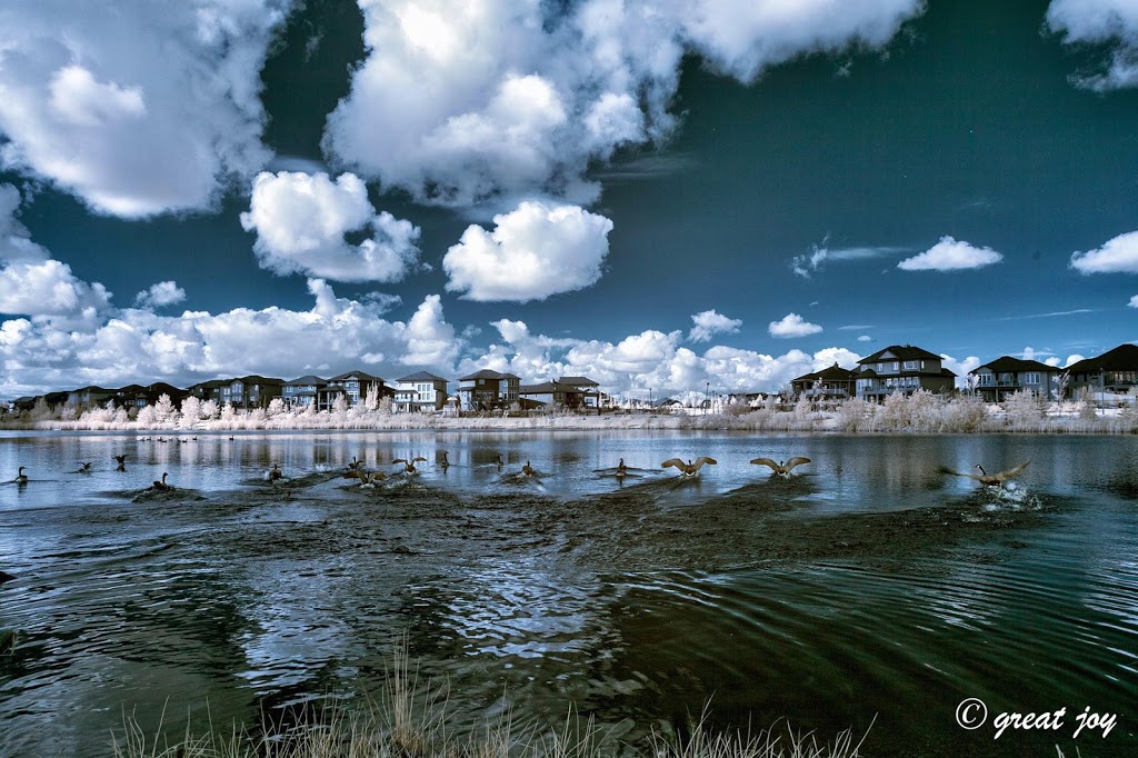 Howard Harding Park | Teal Cres, Saskatoon, SK S7T 0E6, Canada