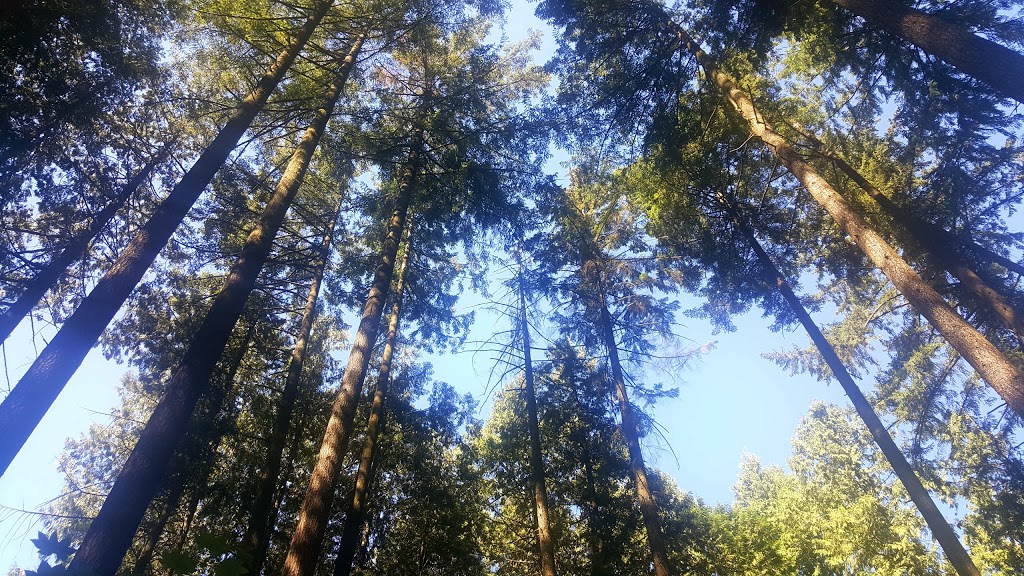 Surrey Nature Centre | 14225 Green Timbers Way, Surrey, BC V3T 0J2, Canada | Phone: (604) 502-6065