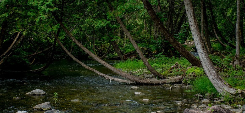 Parks Creek Retreat | 1291 Shannon Rd, Plainfield, ON K0K 2V0, Canada | Phone: (613) 561-8324