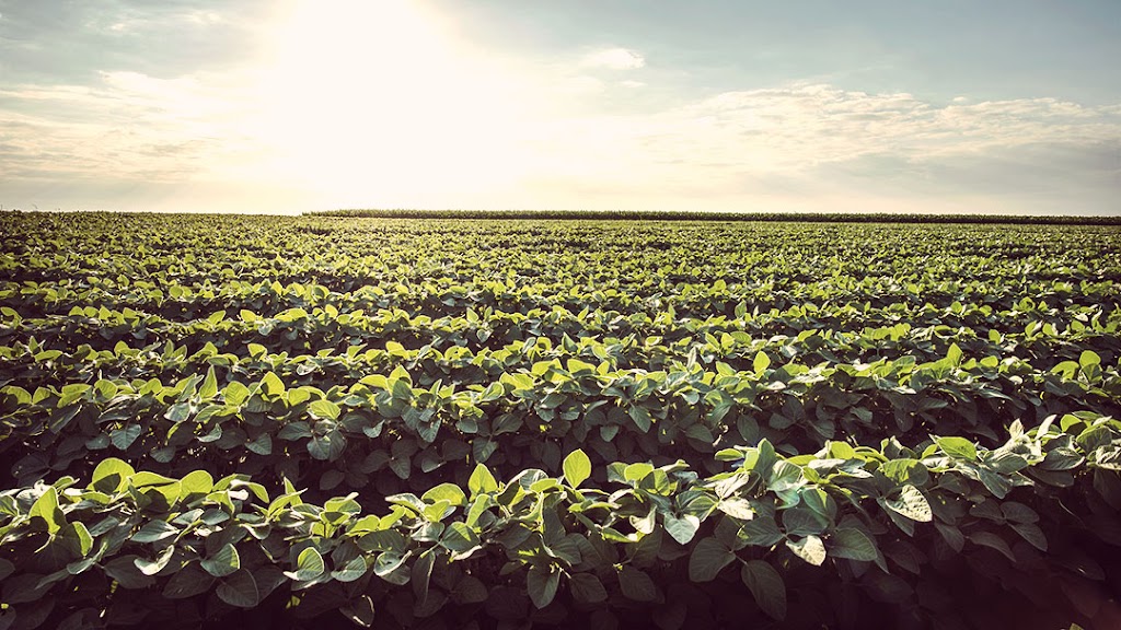 Bestland Air Ltd. | 52094 Road 4 West, Starbuck, MB R0G 2P0, Canada | Phone: (204) 735-2258
