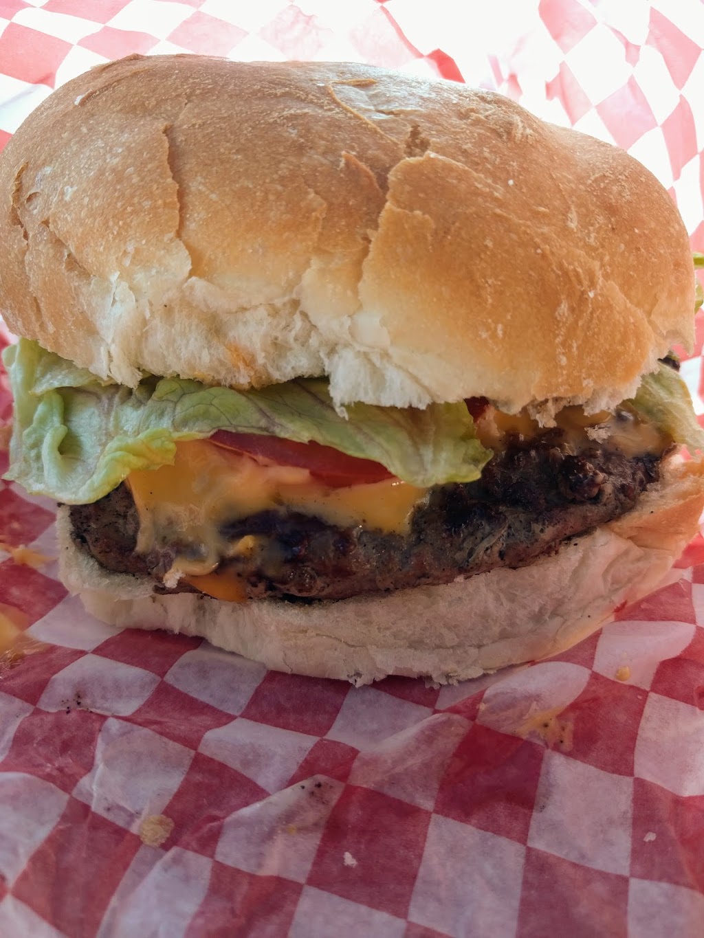 Dawgs Burgers & Fries | 5 Marina Dr, Port Colborne, ON L3B 4E4, Canada | Phone: (905) 650-1651