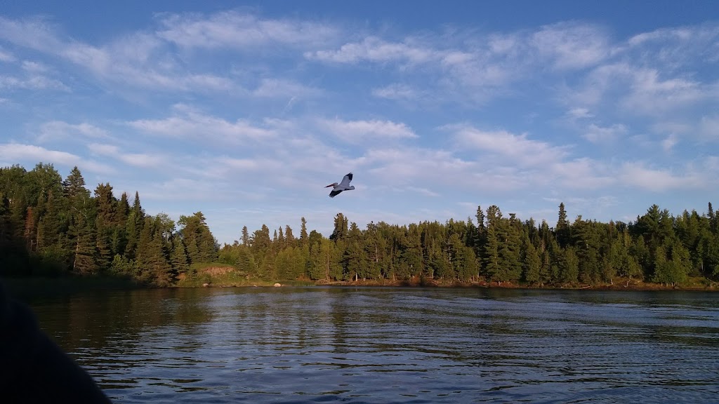 Big Narrows Resort | Western Peninsula, Kenora, Unorganized, ON P9N 4L1, Canada | Phone: (807) 788-5280