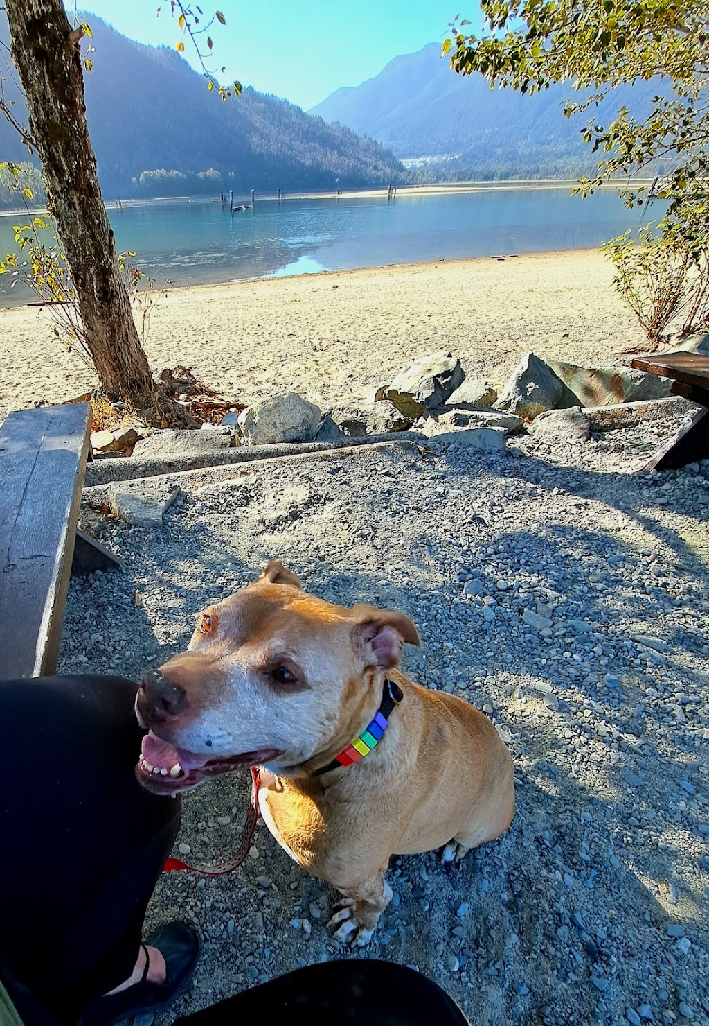 Stave Lake Veterinary Hospital | 7871 Stave Lake St E130, Mission, BC V2V 0B5, Canada | Phone: (604) 286-0160