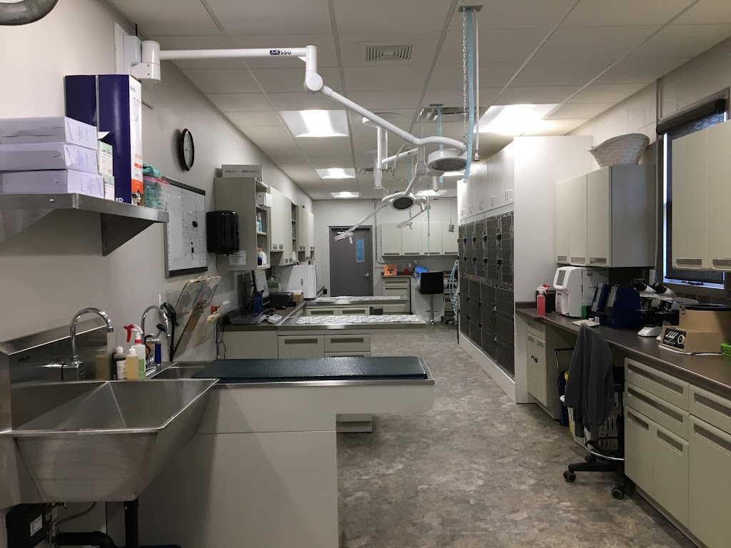 Camrose Veterinary Hospital | 4712 41 St, Camrose, AB T4V 0Z6, Canada | Phone: (780) 672-3171