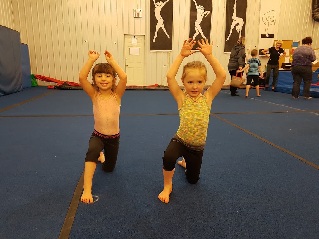 Selkirk Selects Gymnastics Club | 965 Main St, Clandeboye, MB R0C 0P0, Canada