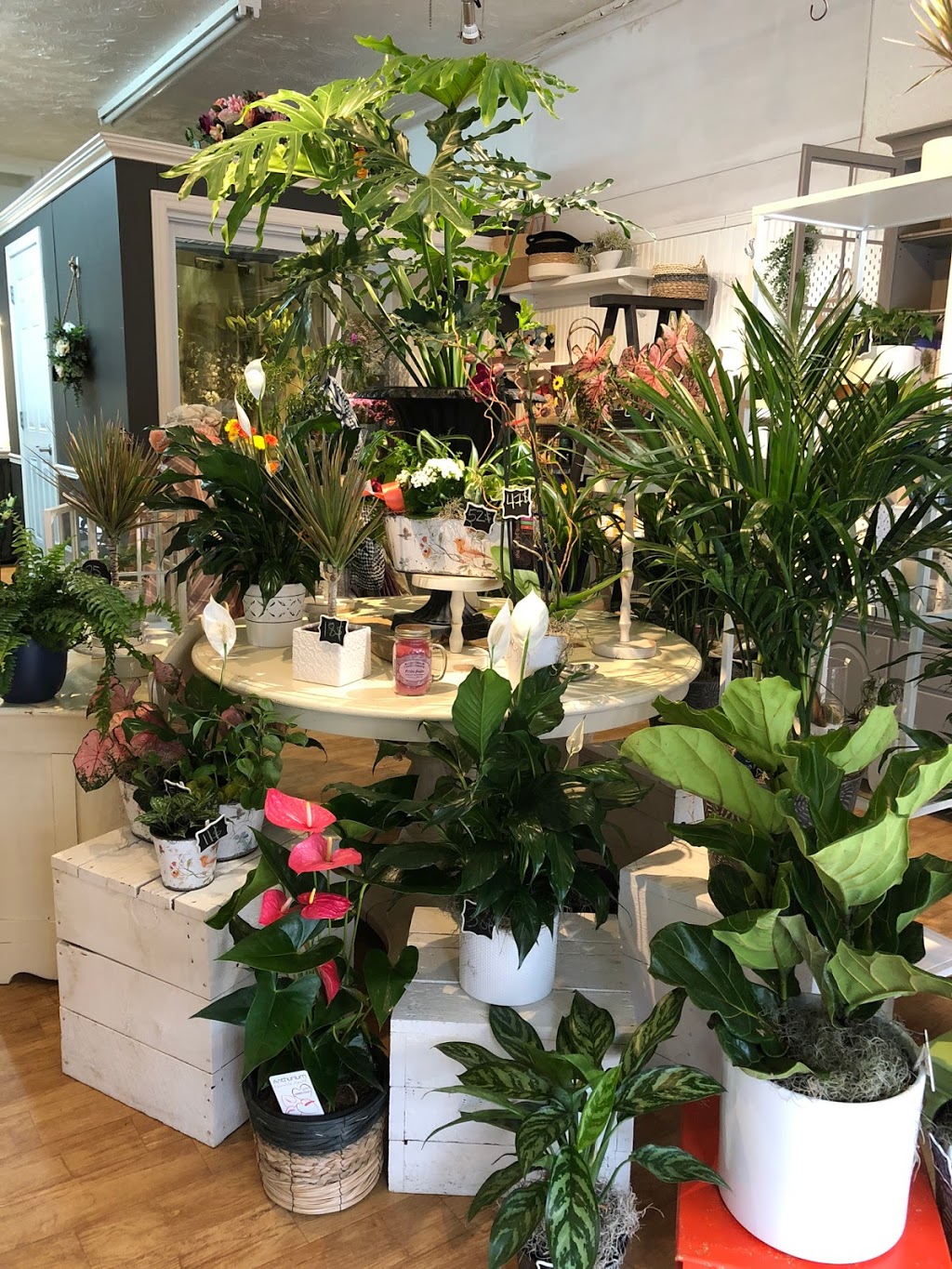 Fleuriste De Fleur en Fille | 131 Rue Châteauguay, Huntingdon, QC J0S 1H0, Canada | Phone: (450) 264-4844