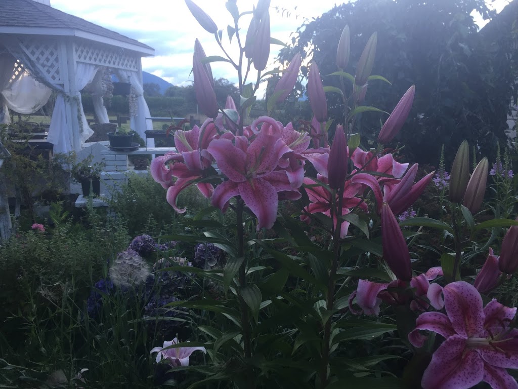 Being Bliss Healing Therapy | 6815 Evans Rd, Chilliwack, BC V2R 4B9, Canada | Phone: (604) 819-6555