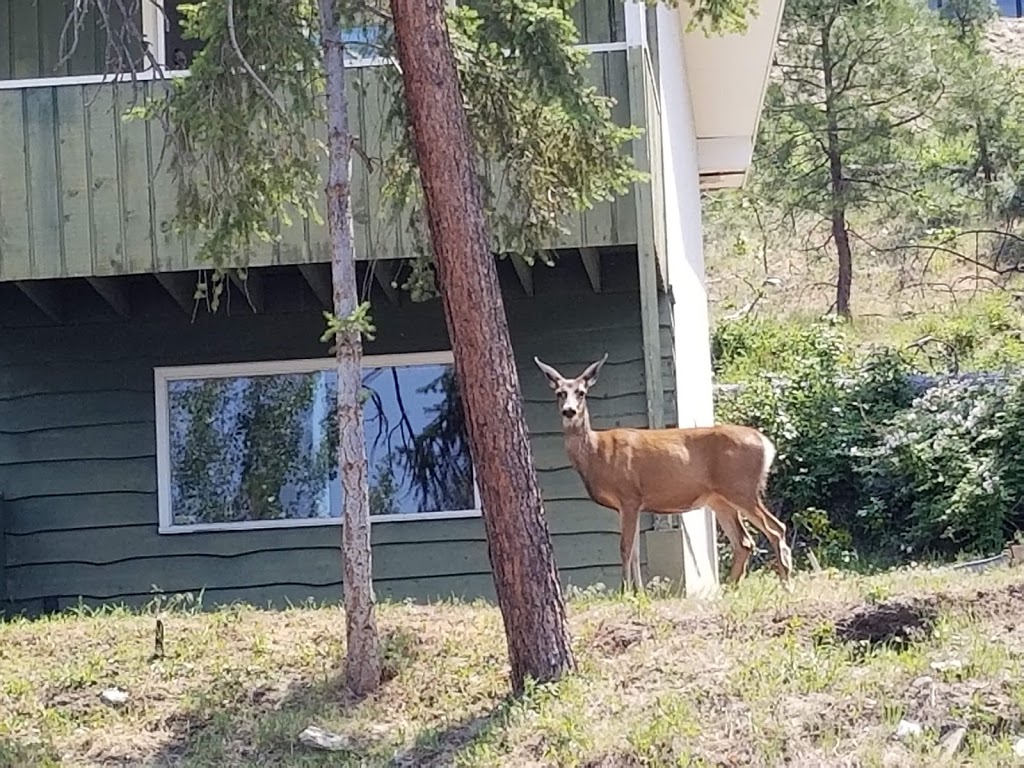Cedar Creek Park | 5167 Lakeshore Rd, Kelowna, BC V1W 4J2, Canada
