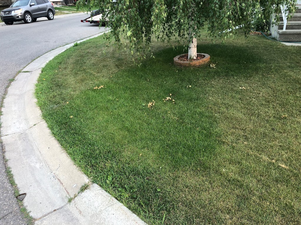 Greener Grass Ltd | 240007 Frontier Cres, #4, AB T1X 0R4, Canada | Phone: (403) 271-2111