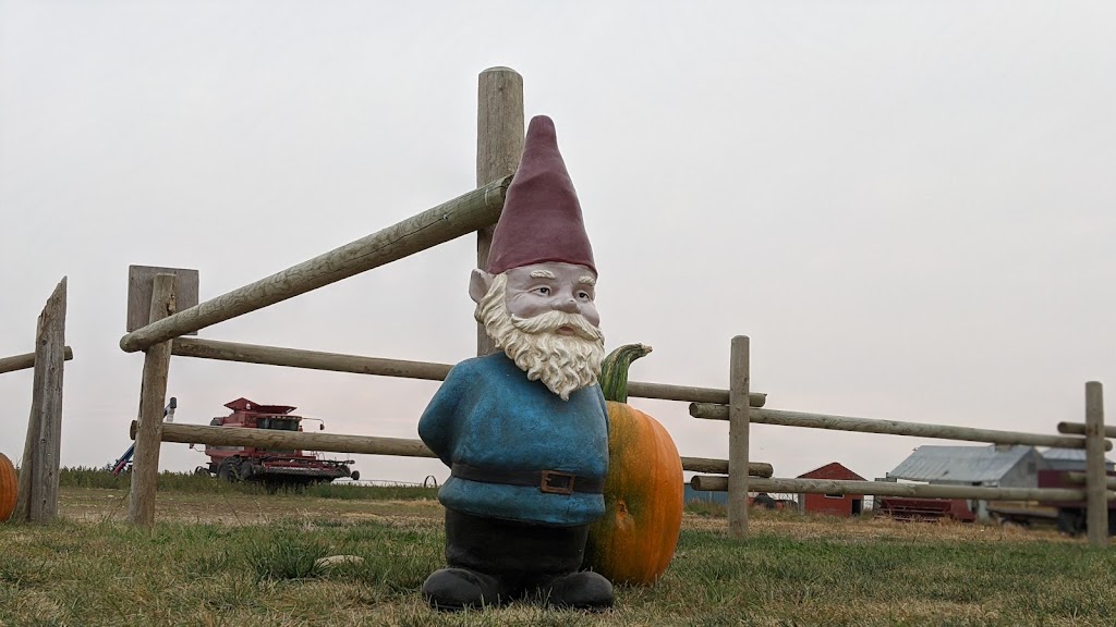 Molnars Pumpkin Festival | Range Rd 173, Barnwell, AB T0K 0B0, Canada | Phone: (403) 315-0728