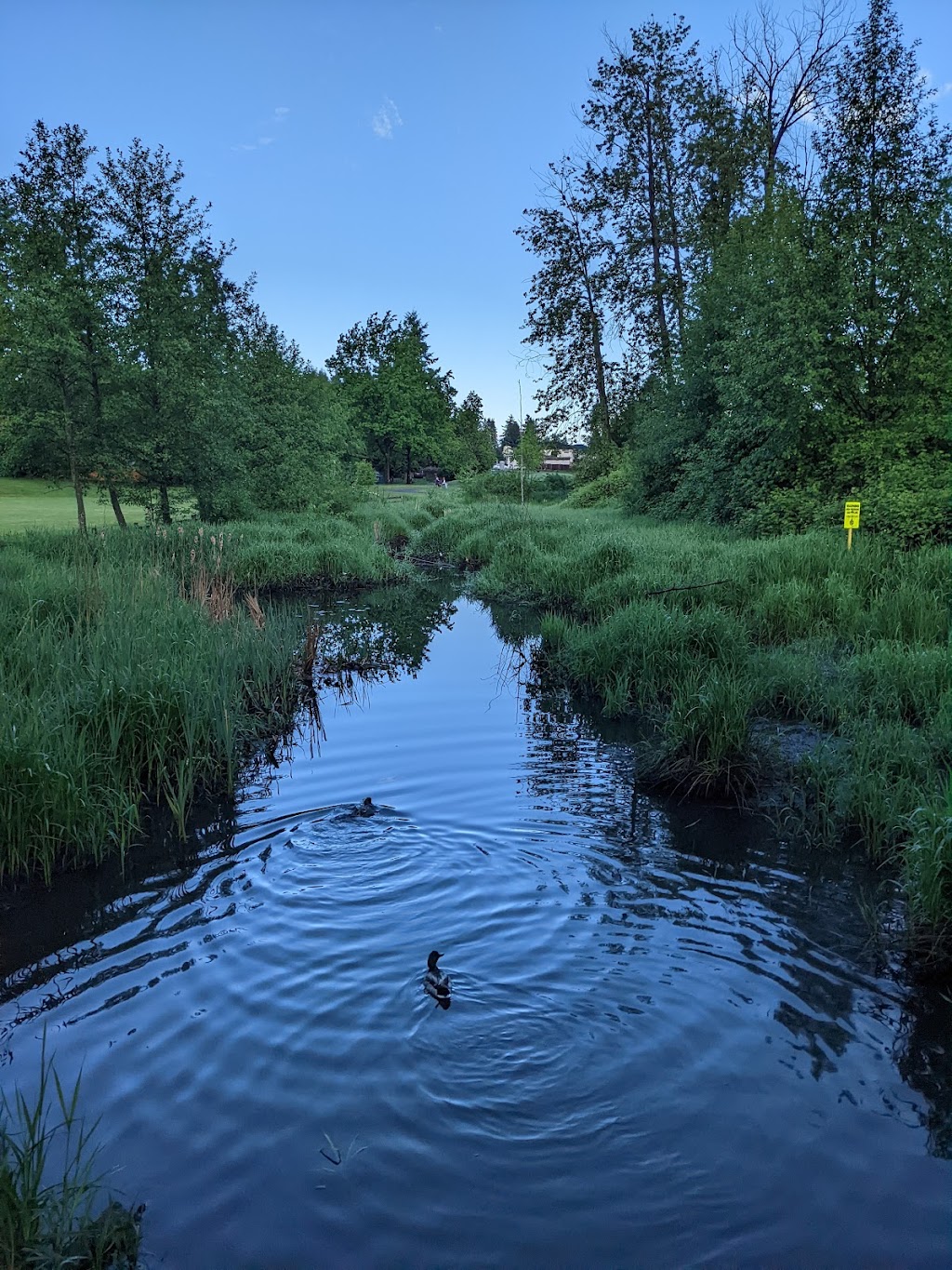 Robson Park | 12678 100 Ave, Surrey, BC V3V 2X9, Canada | Phone: (604) 591-4011