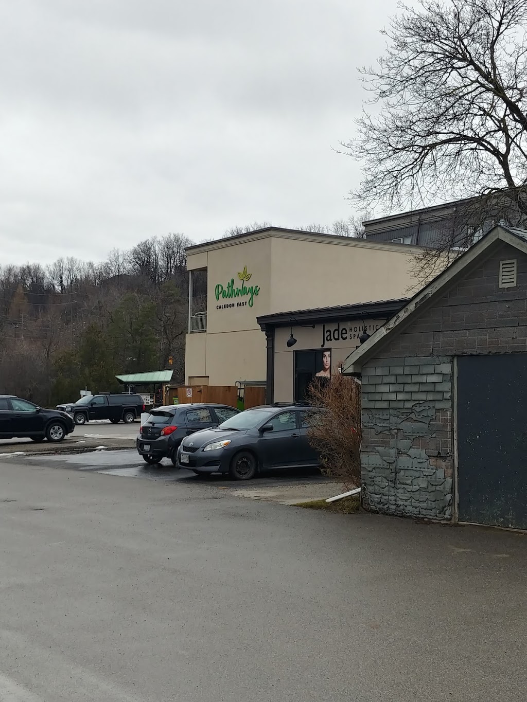 Allergy Clearing Centre | 50 Queen St N, Bolton, ON L7E 1B9, Canada | Phone: (905) 951-8659