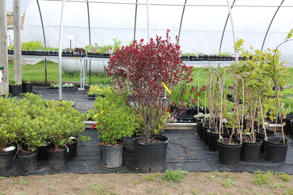 The Garden Path | 7233 Brown Rd, Orono, ON L0B 1M0, Canada | Phone: (905) 983-9579