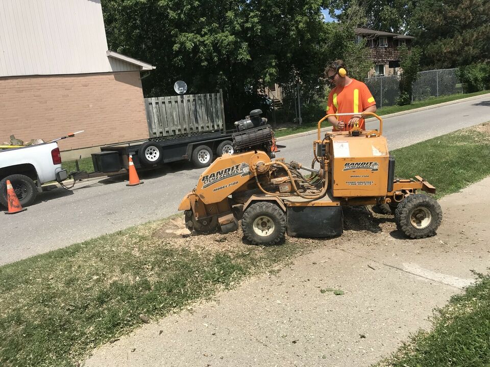 Forest City Tree Services | 118 Delaware St N, Komoka, ON N0L 1R0, Canada | Phone: (226) 927-0006