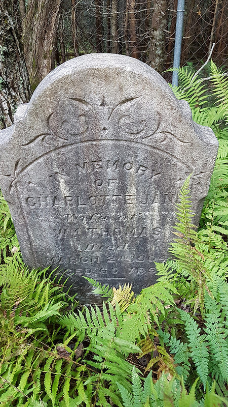 Purcells Ground Cemetery | Goodwood, NS B3R, Canada