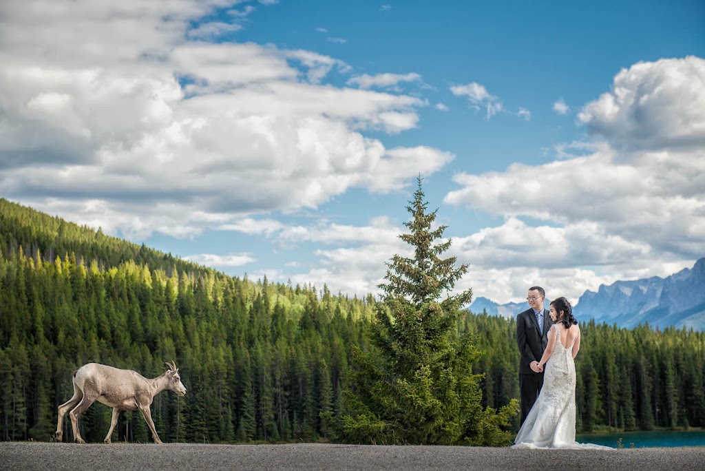 Jackie Au Photography | 71 Sandstone Dr NW, Calgary, AB T3K 2X3, Canada | Phone: (403) 830-9050