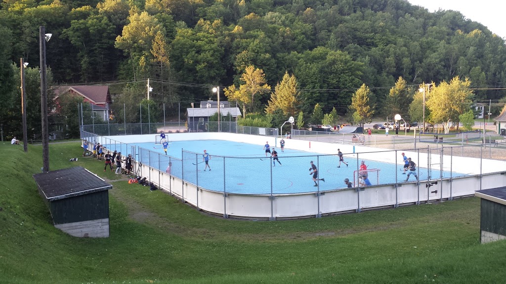 Parc Daniel Lauzon | 2053 Chem. du Village, Mont-Tremblant, QC J8E 1K4, Canada | Phone: (819) 425-8614