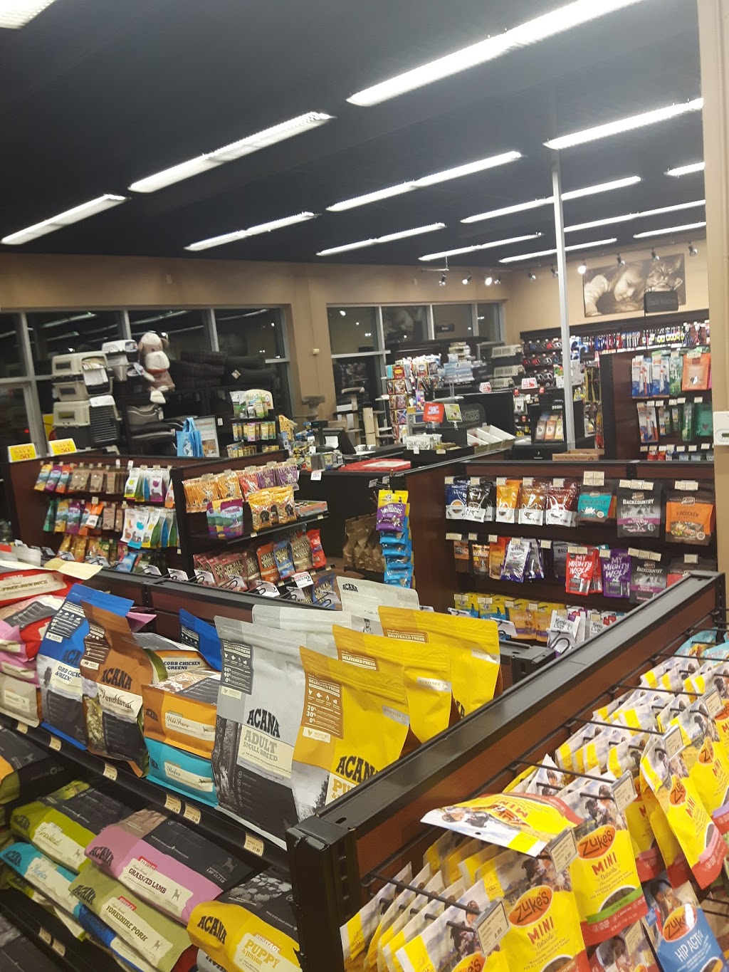 Paulmacs Pets | 4725 Dorchester Rd Units #B11-B13, Niagara Falls, ON L2E 0A8, Canada | Phone: (905) 356-6751