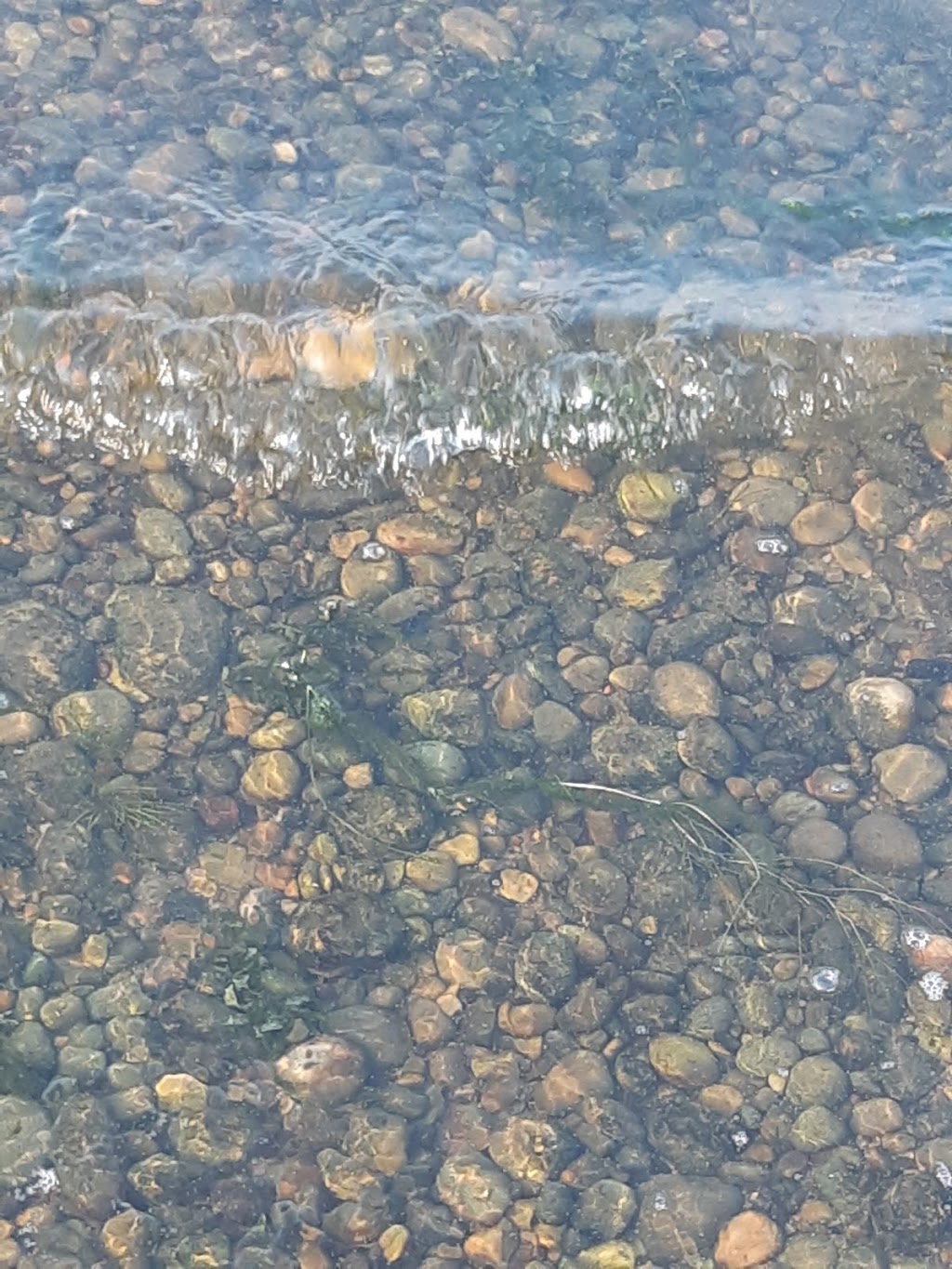 Buck Lake Campground | 406 Lakeshore Dr, Buck Lake, AB T0C 0T0, Canada | Phone: (780) 352-3321