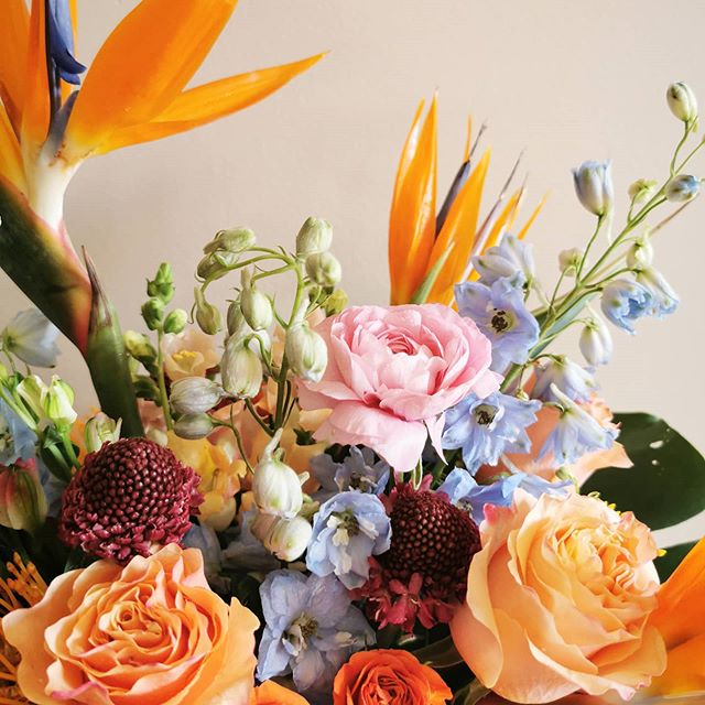 Yellow Birch Floral & Design | 92 6 Ave, Gimli, MB R0C 1B0, Canada | Phone: (204) 781-8633