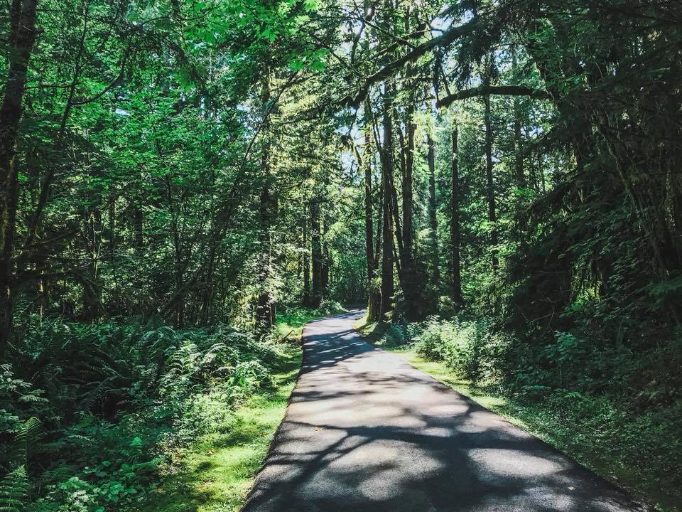 Adventure Awaits - Jami Savage, Family Travel Writer | 9067 Church St, Fort Langley, BC V1M 0E8, Canada | Phone: (604) 785-4074
