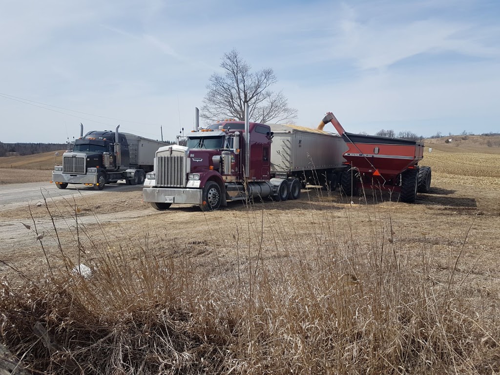 Will Rich Transport | 9100-8942, Wellington 16, Kenilworth, ON N0G 2E0, Canada | Phone: (519) 323-7226