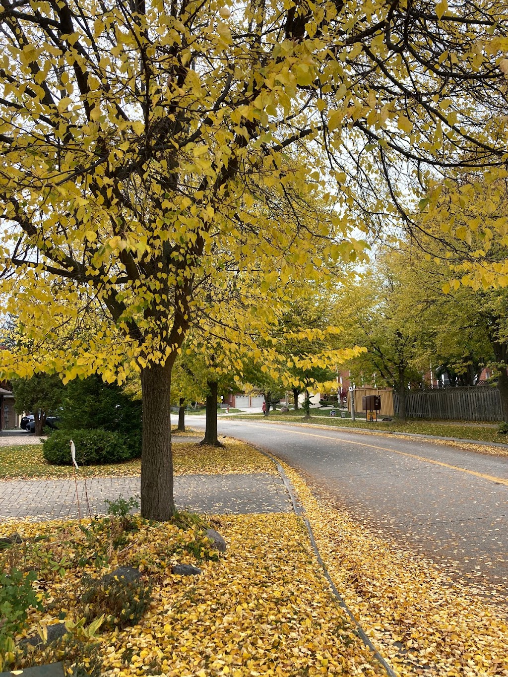 Doncrest Valley | Richmond Hill, ON L4B 3M7, Canada | Phone: (905) 771-8830