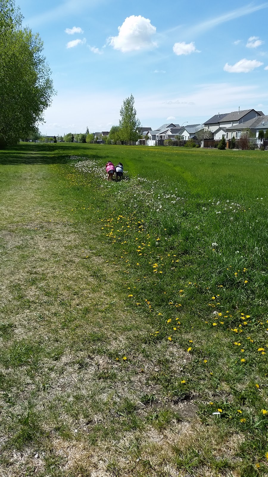 Juniper Park | Stockton St, Regina, SK S4X 4R6, Canada | Phone: (306) 777-7000