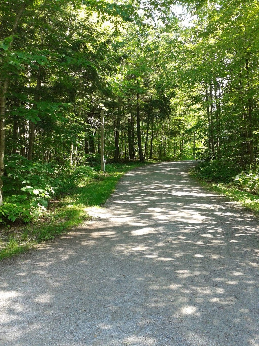 Parc Les Salines | 5330 Rue Martineau, Saint-Hyacinthe, QC J2R 1T8, Canada | Phone: (450) 253-5082