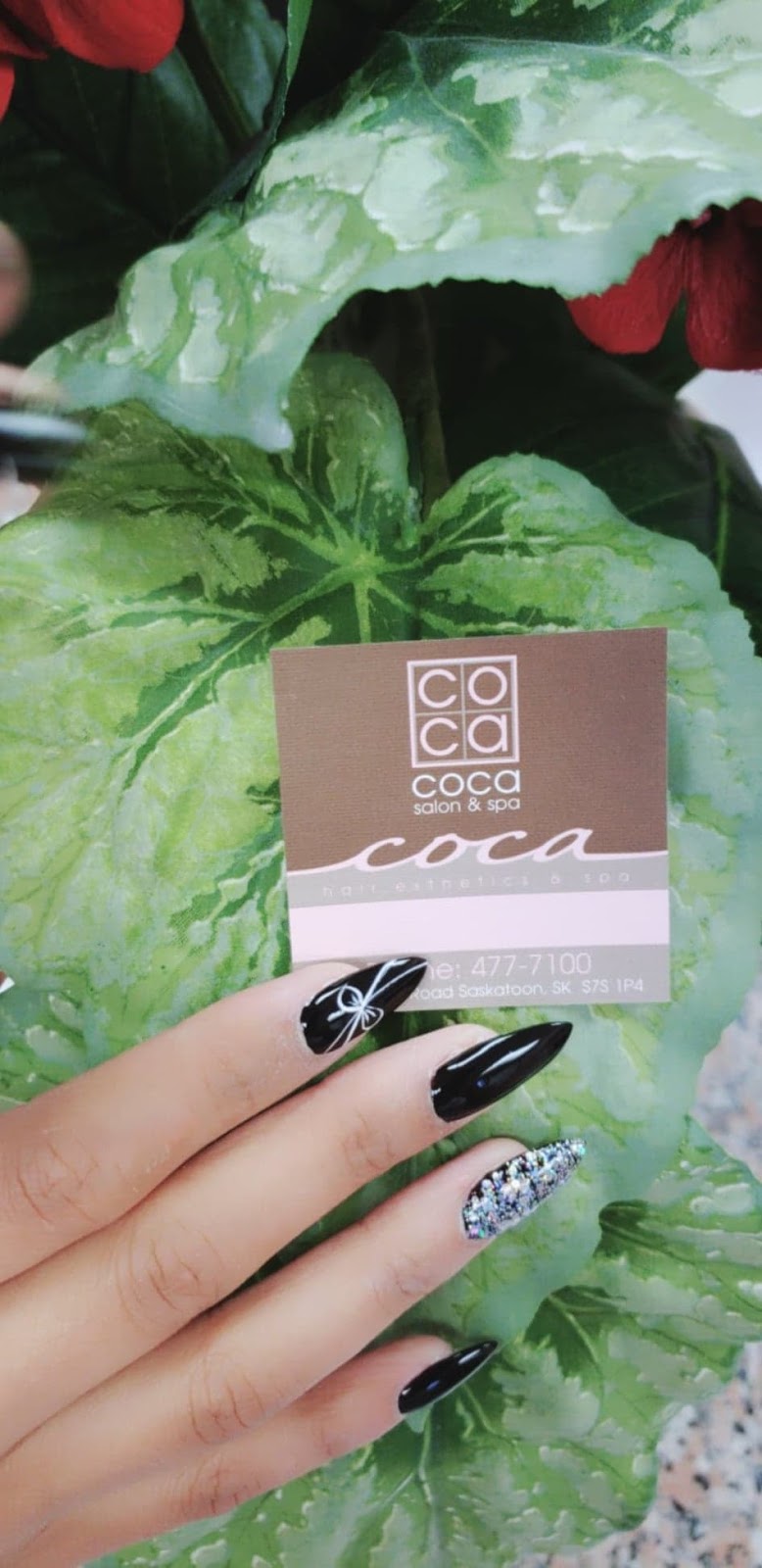 Coca Salon & Spa | 531 Nelson Rd #12, Saskatoon, SK S7S 1P4, Canada | Phone: (306) 477-7100