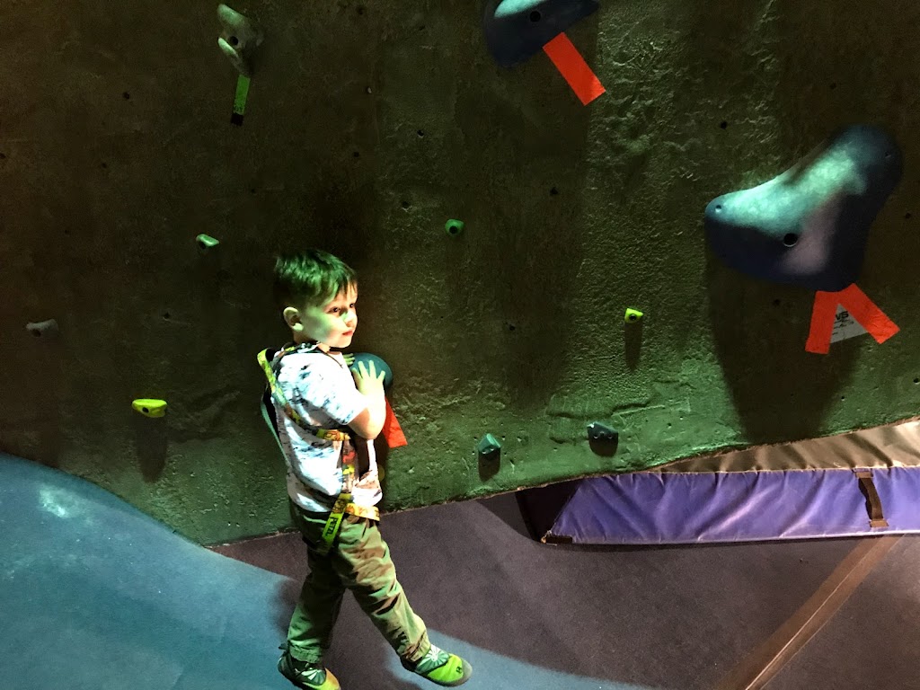 Vertically Inclined Rock Gym | 8523 Argyll Rd NW, Edmonton, AB T6C 4B2, Canada | Phone: (780) 496-9390