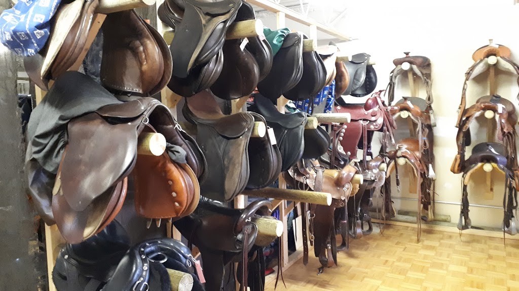 Horsen Around | 7875 48 Ave #6, Red Deer, AB T4P 2K1, Canada | Phone: (403) 356-0166