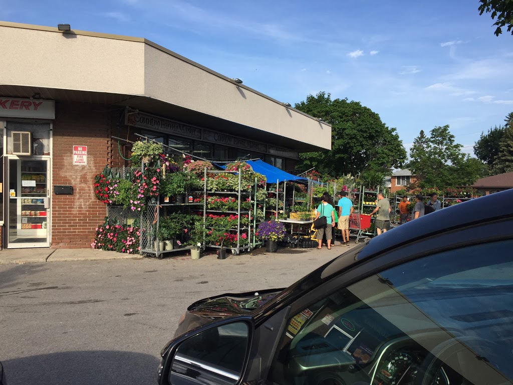 All Season Country Farm | 615 McCowan Rd, Scarborough, ON M1J 1K2, Canada | Phone: (416) 431-5365