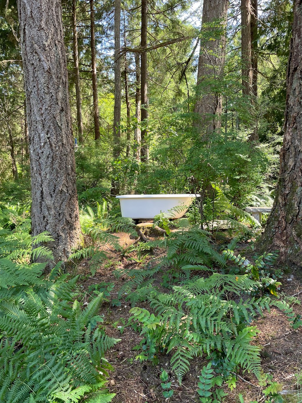 Perrywinkle Cottage | 692 Cedar Dr, Quathiaski Cove, BC V0P 1N0, Canada | Phone: (250) 285-3664