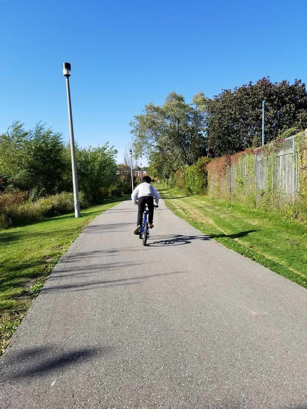 Driftwood Park | 44 Tobermory Dr, North York, ON M3N 2R7, Canada