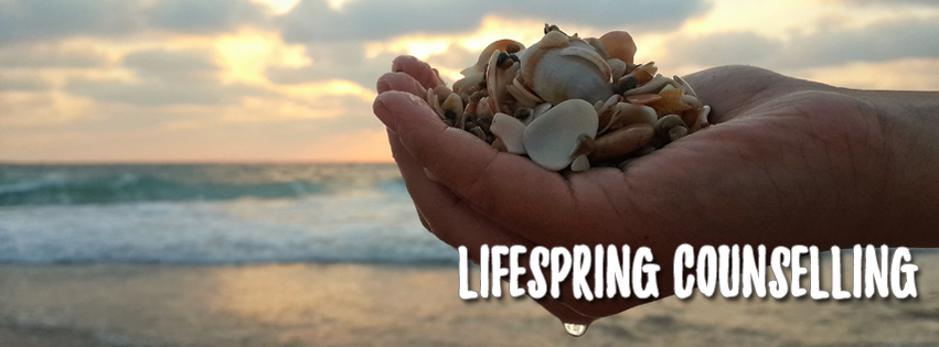 Lifespring Counselling | 100 Fergus Ave, Kitchener, ON N2A 2H2, Canada | Phone: (519) 329-6988