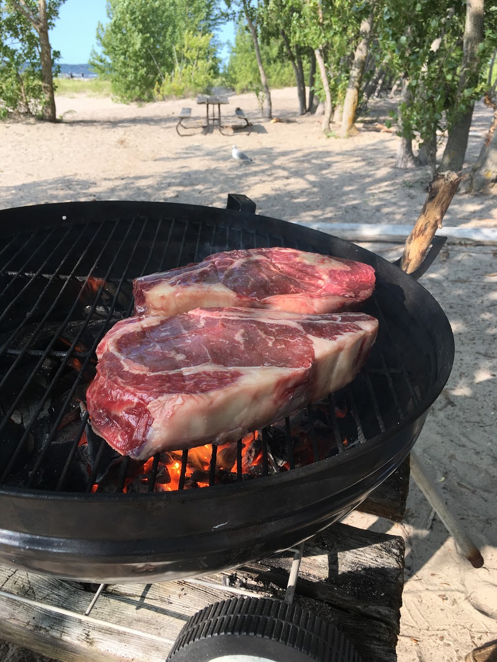 L & M Meat Distributing Inc | 2487 14 Line, Gilford, ON L0L 1R0, Canada | Phone: (905) 775-6775