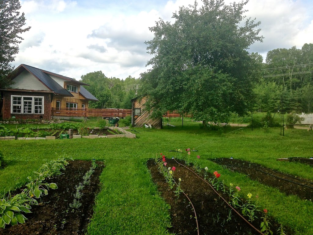 Le Studio Sacred Space | 1069 Chemin du Village, Mont-Tremblant, QC J8E 1G7, Canada | Phone: (819) 429-1682