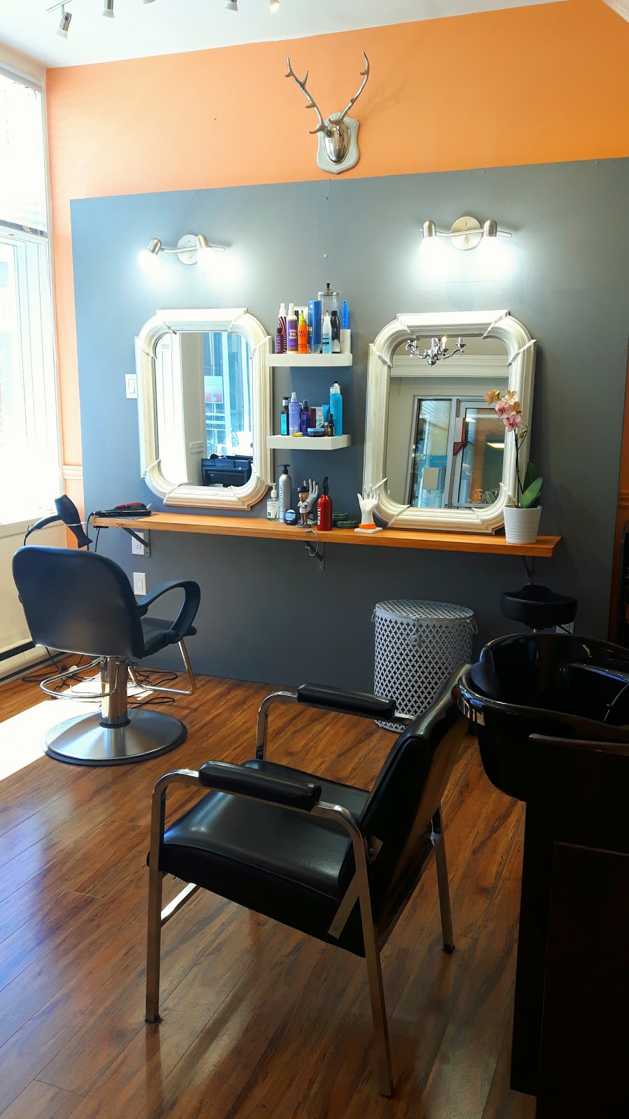 Salon Flash Coiffure | 6 Chemin des Lilas, Sainte-Anne-des-Lacs, QC J0R 1B0, Canada | Phone: (450) 712-0845