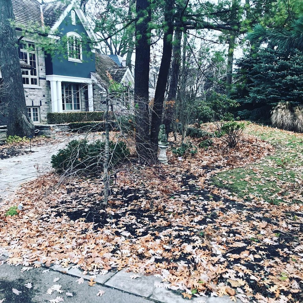 BD Groundskeeping | 232 Mill St, Creemore, ON L0M 1G0, Canada | Phone: (416) 271-6953