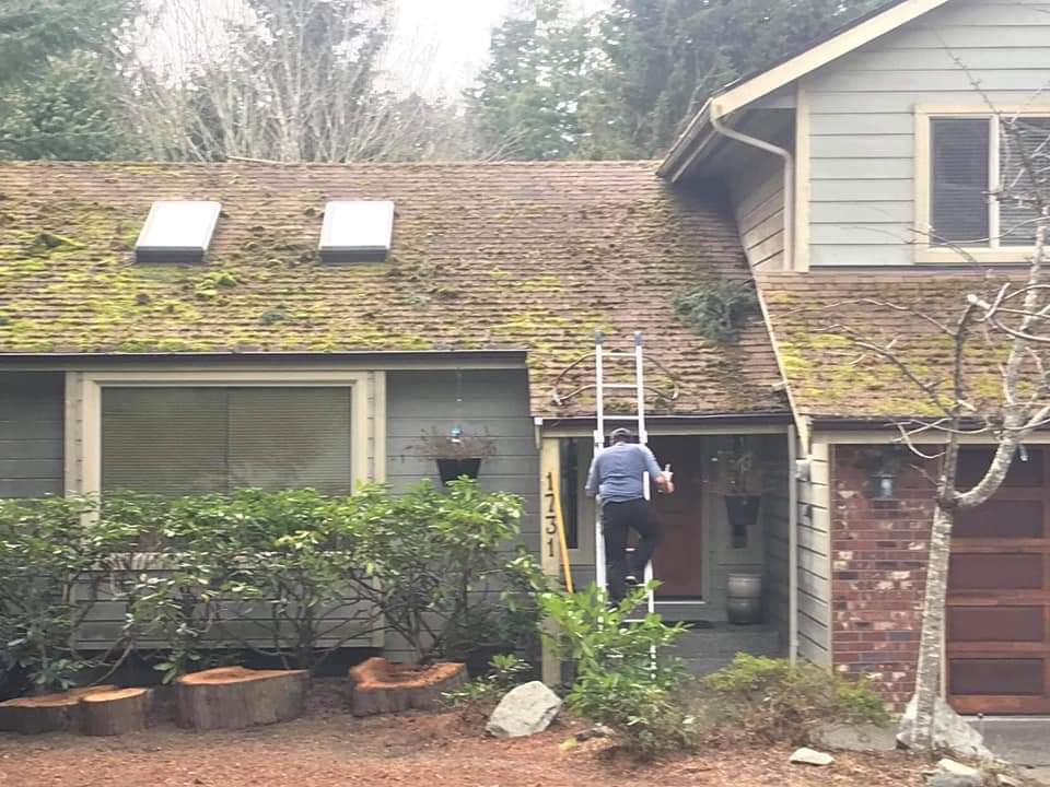 Roof Cleaning Victoria | 270 Nicola Pl, Victoria, BC V8Z 1W1, Canada | Phone: (778) 900-4006