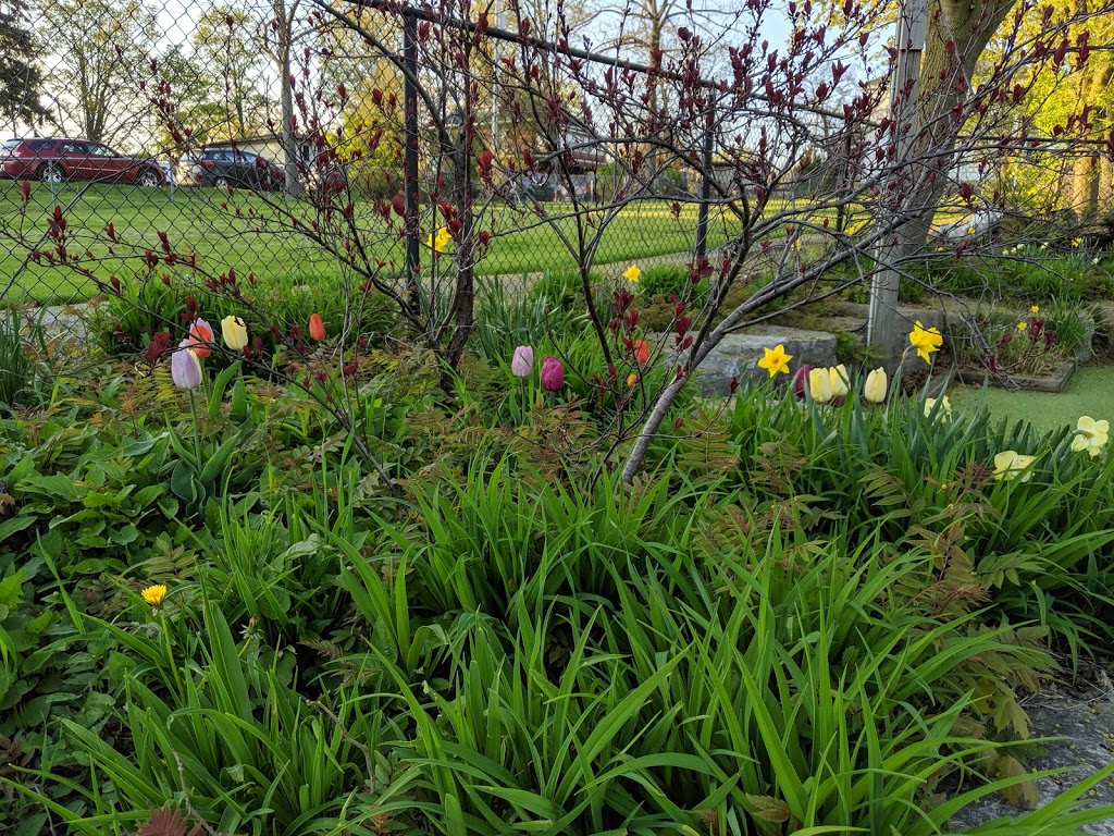 Arbortown Mini-golf | 100 Main St, Port Dover, ON N0A 1N0, Canada | Phone: (519) 583-3499