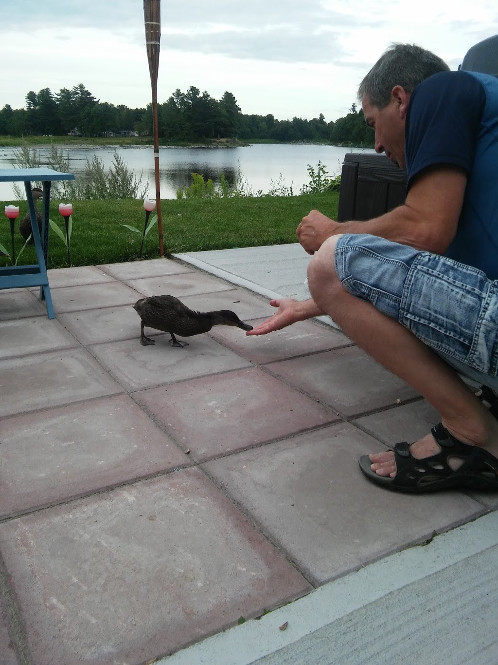 Camping Remous De La Chaudiere | 406 Route Saint André, Saint-Étienne-de-Lauzon, QC G6J 1E8, Canada | Phone: (418) 831-2554