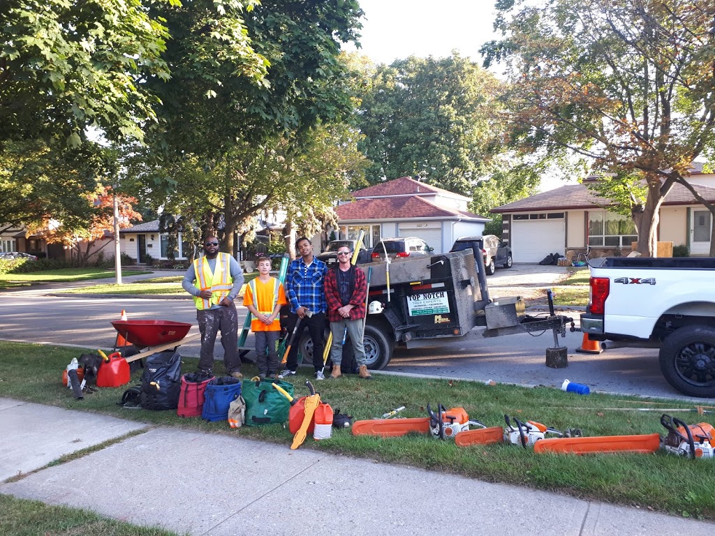 Top Notch Tree Experts | 244 Brant Rd Rr1, Mount Pleasant, ON N0E 1K0, Canada | Phone: (647) 797-8884