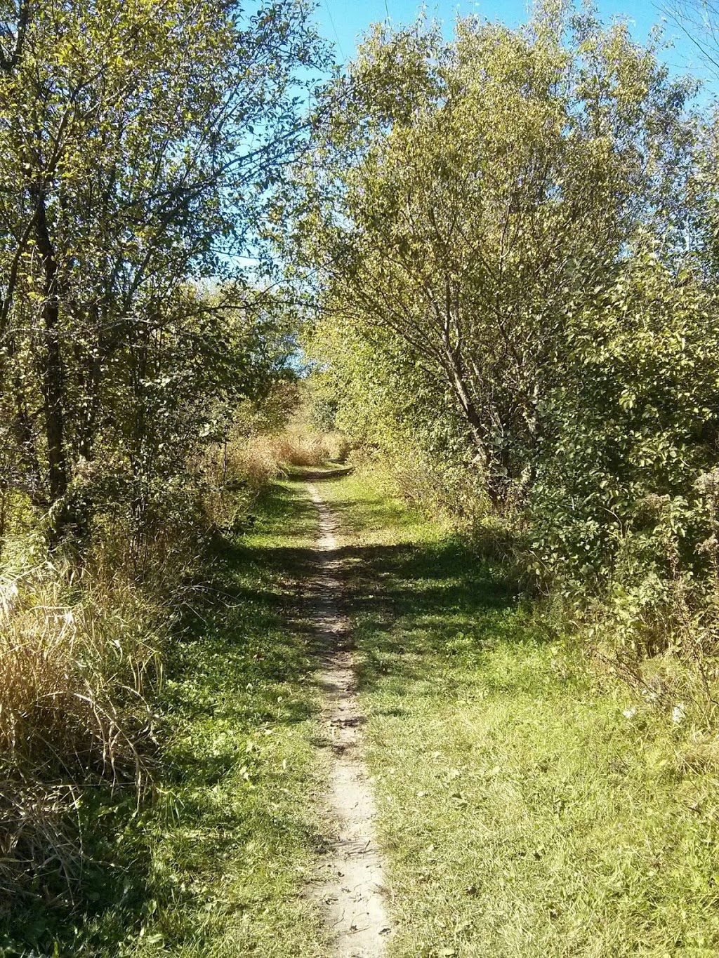 NCC Greenbelt P13 | P13, Ottawa, ON K2H, Canada
