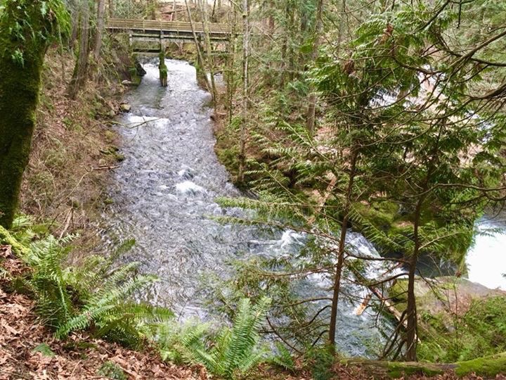 whatcom falls park parking | 1552-1574 Silverbeach Rd, Bellingham, WA 98229, USA