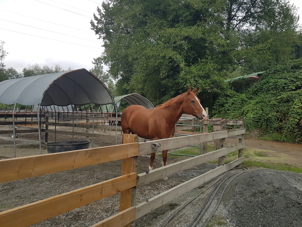 North Shore Equestrian Centre | 1301 Lillooet Rd, North Vancouver, BC V7J 2J1, Canada | Phone: (604) 988-5131