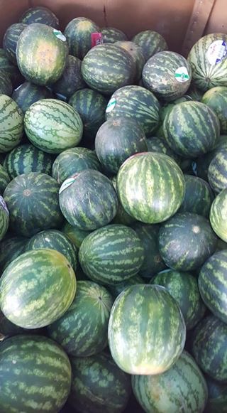 Valley Produce | 32031 Joyce Ave, Abbotsford, BC V2T 1B6, Canada | Phone: (604) 866-1859