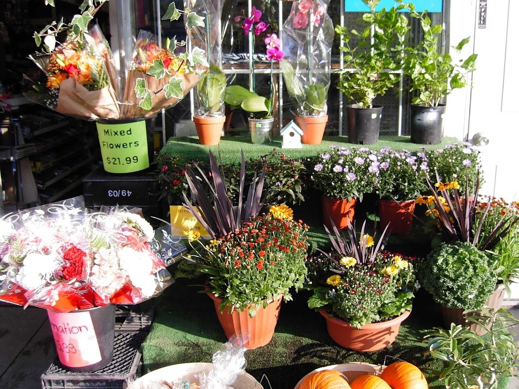 Chester Variety | 410 Danforth Ave, Toronto, ON M4K 1P3, Canada | Phone: (416) 778-6436